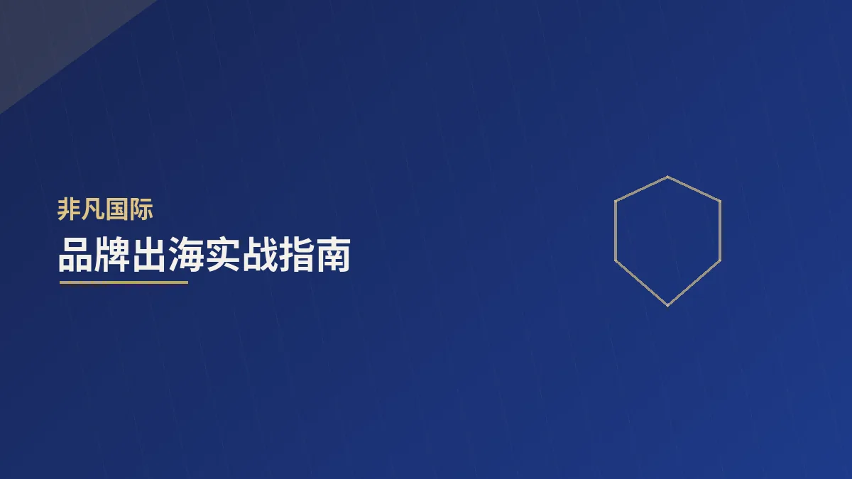 品牌出海实战指南