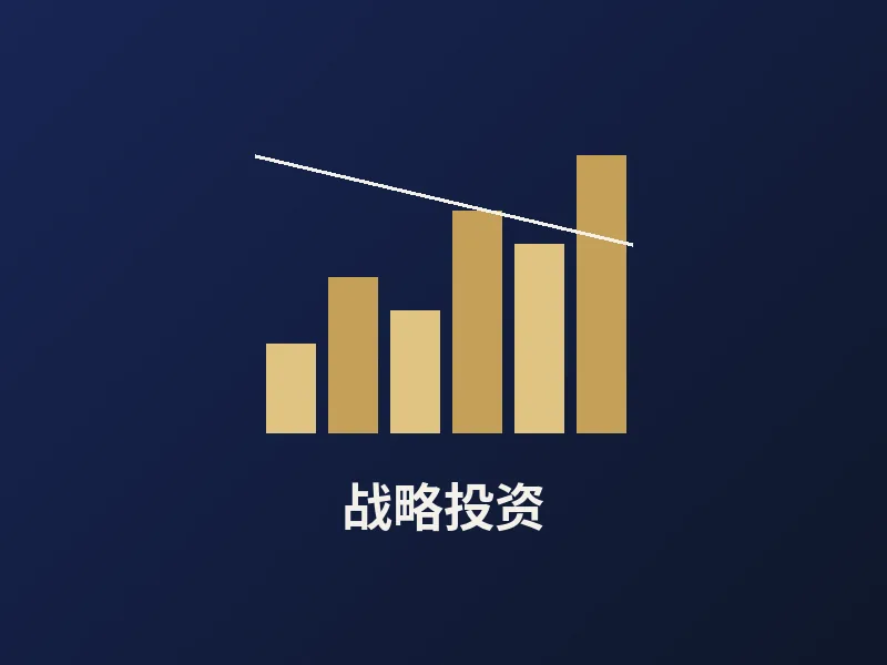 战略投资服务